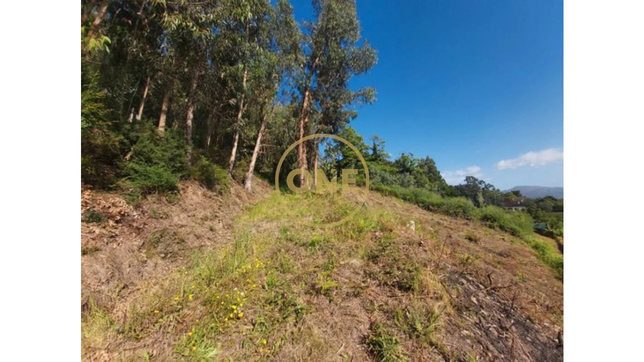 Terreno para Venda em Cabração e Moreira do Lima Foto 3