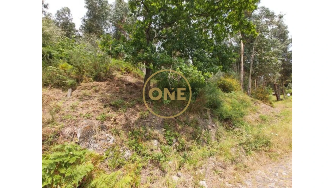 Terreno para Venda em Cabração e Moreira do Lima Foto 14