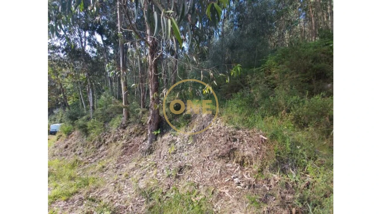 Terreno para Venda em Cabração e Moreira do Lima Foto 9