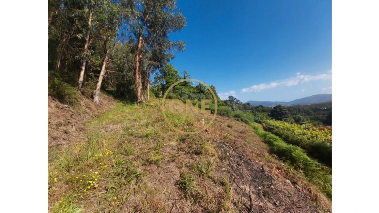 Terreno para Venda em Cabração e Moreira do Lima Foto 11