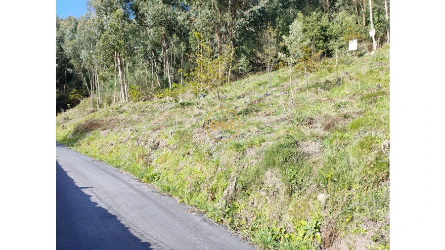 Terreno para Venda em Cabração e Moreira do Lima Foto 23