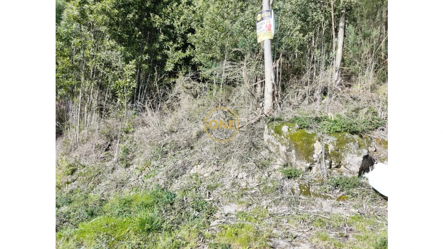 Terreno para Venda em Cabração e Moreira do Lima Foto 26