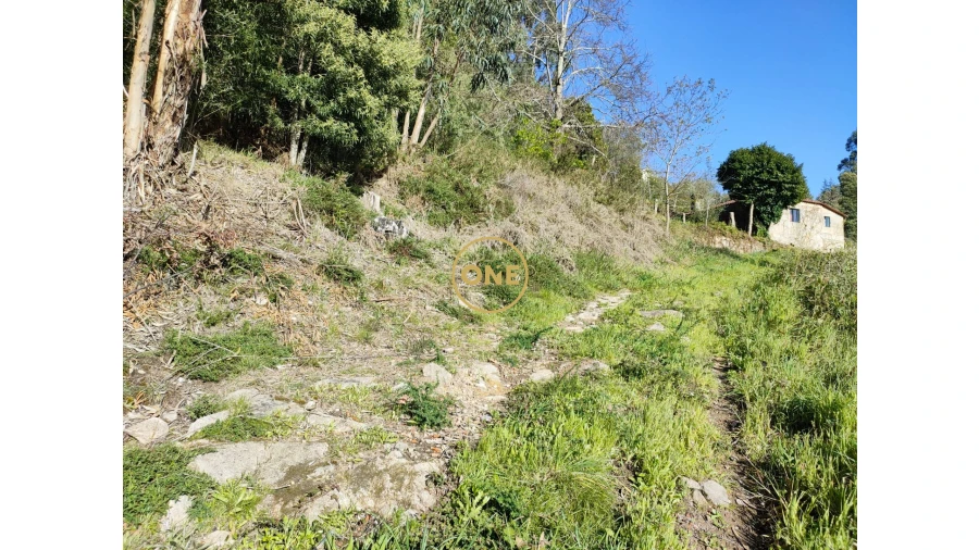 Terreno para Venda em Cabração e Moreira do Lima Foto 27