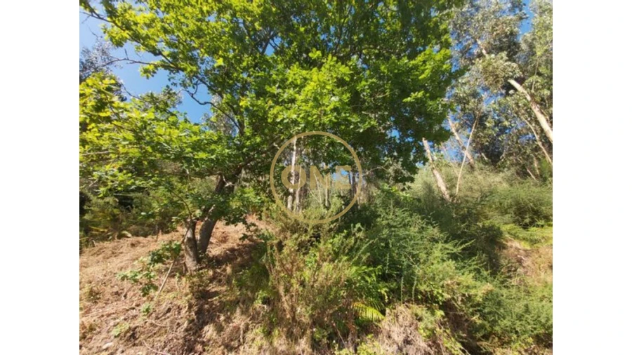 Terreno para Venda em Cabração e Moreira do Lima Foto 7
