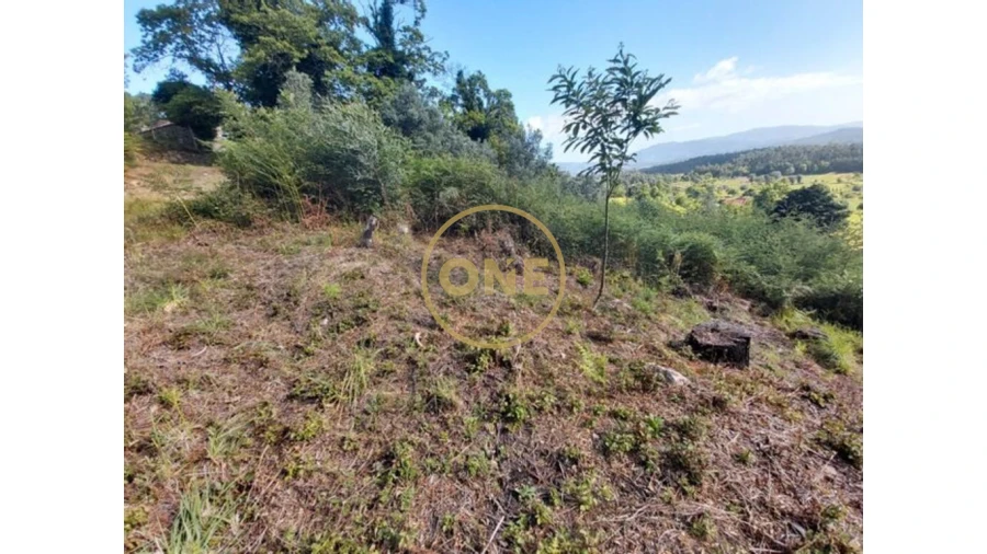 Terreno para Venda em Cabração e Moreira do Lima Foto 5