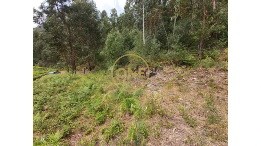 Terreno para Venda em Cabração e Moreira do Lima Foto 12