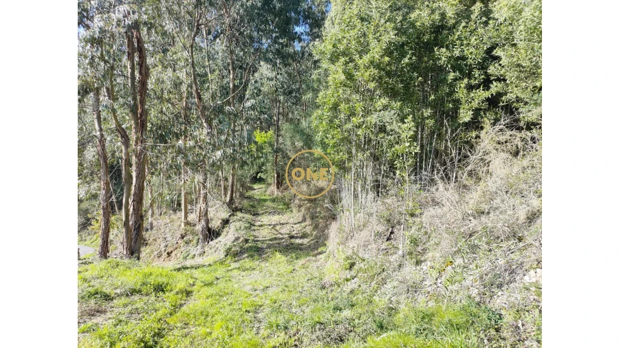 Terreno para Venda em Cabração e Moreira do Lima Foto 30