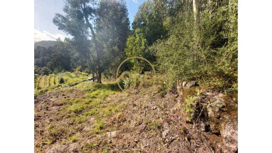 Terreno para Venda em Cabração e Moreira do Lima Foto 2
