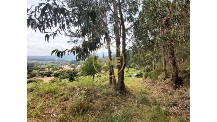 Terreno para Venda em Cabração e Moreira do Lima Foto 16