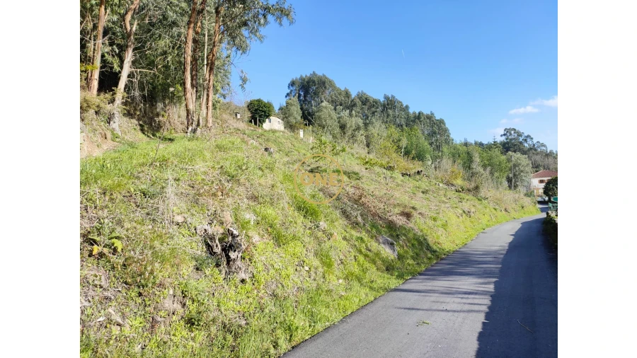 Terreno para Venda em Cabração e Moreira do Lima Foto 31