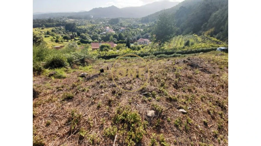 Terreno para Venda em Cabração e Moreira do Lima Foto 4