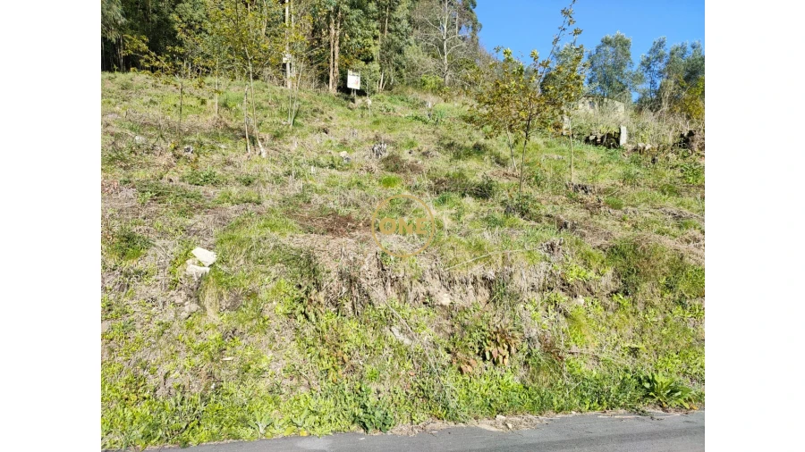 Terreno para Venda em Cabração e Moreira do Lima Foto 24