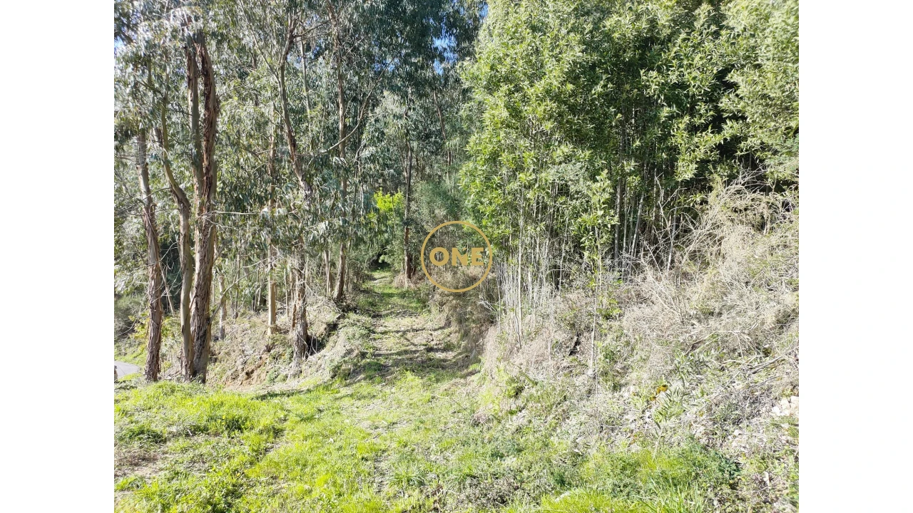 Terreno para Venda em Cabração e Moreira do Lima Foto 30