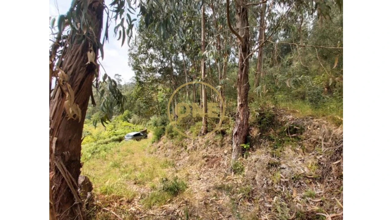 Terreno para Venda em Cabração e Moreira do Lima Foto 10