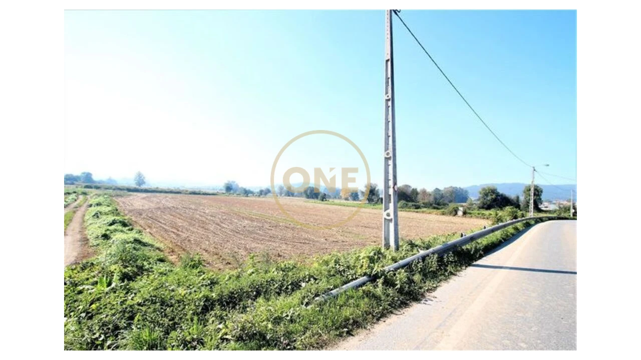 Terreno para Venda em Louro Foto 2