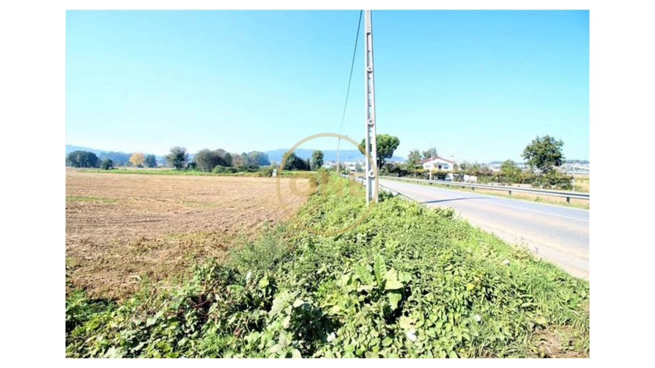 Terreno para Venda em Louro Foto 3