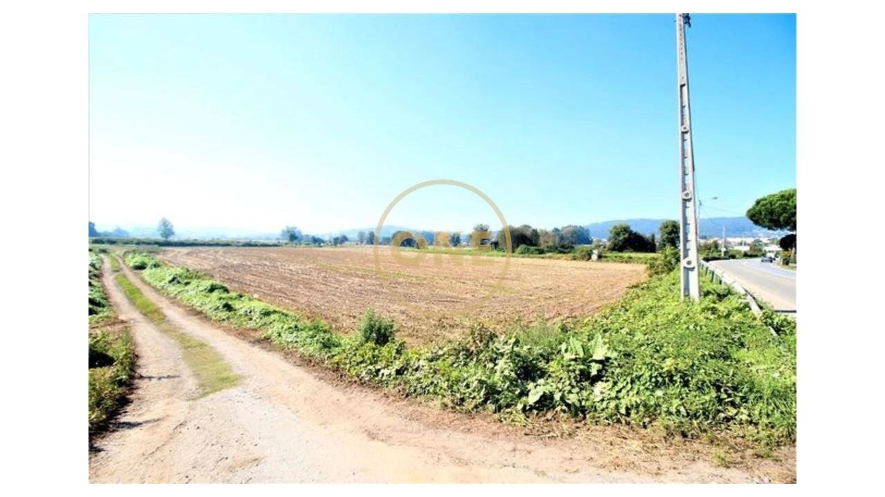 Terreno para Venda em Louro Foto 5