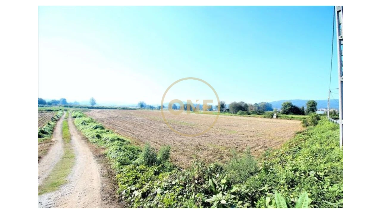 Terreno para Venda em Louro Foto 6