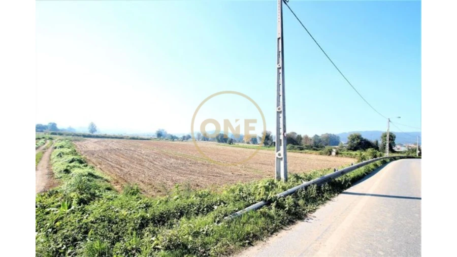 Terreno para Venda em Louro Foto 2