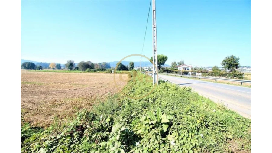 Terreno para Venda em Louro Foto 3