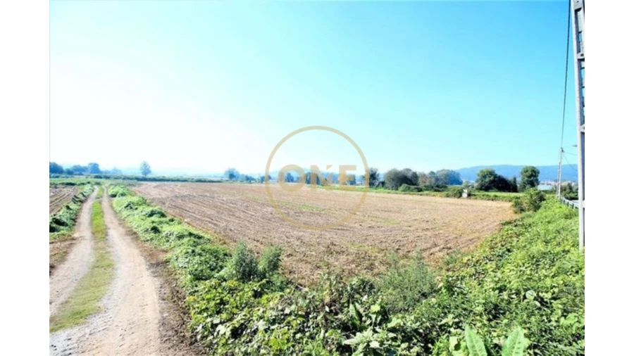 Terreno para Venda em Louro Foto 6