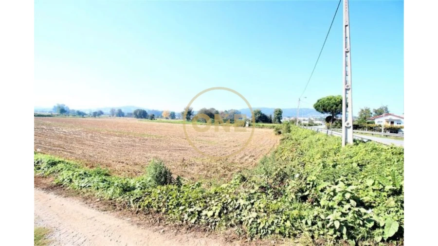 Terreno para Venda em Louro Foto 4