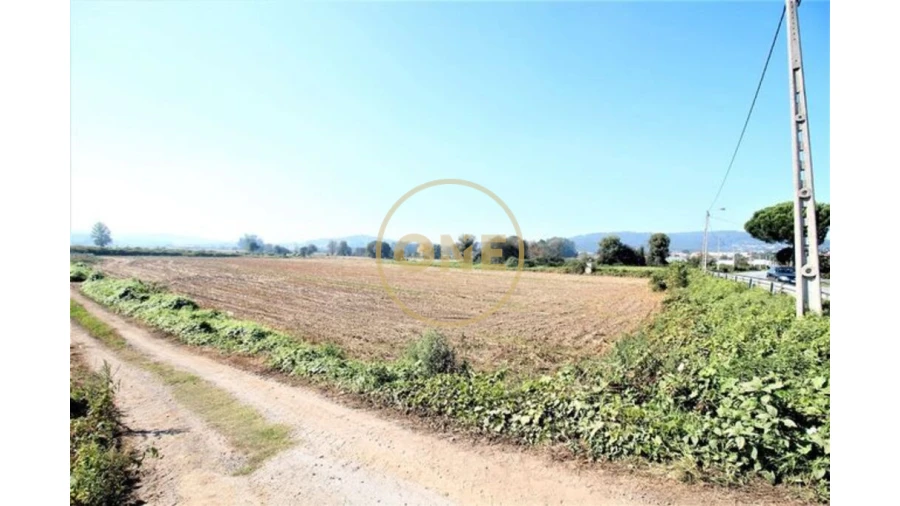 Terreno para Venda em Louro