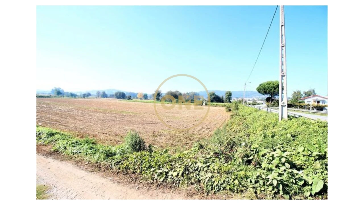 Terreno para Venda em Louro Foto 4