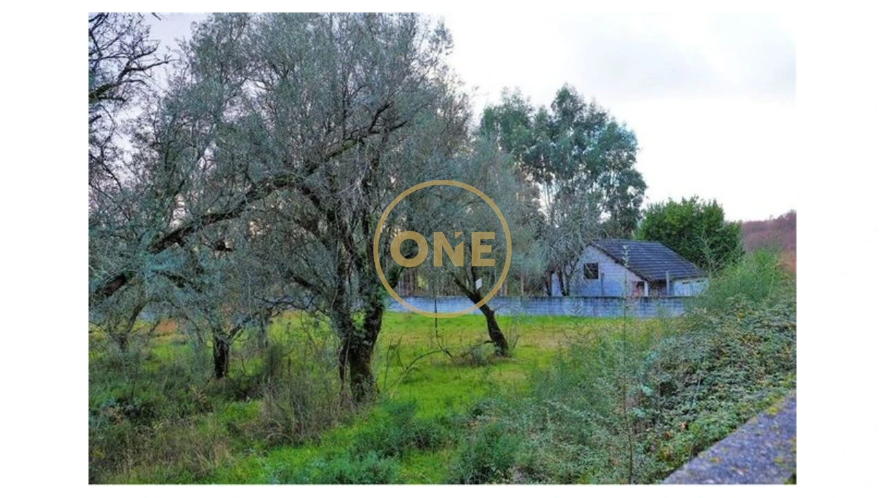 Terreno para Venda em Travassos Foto 7