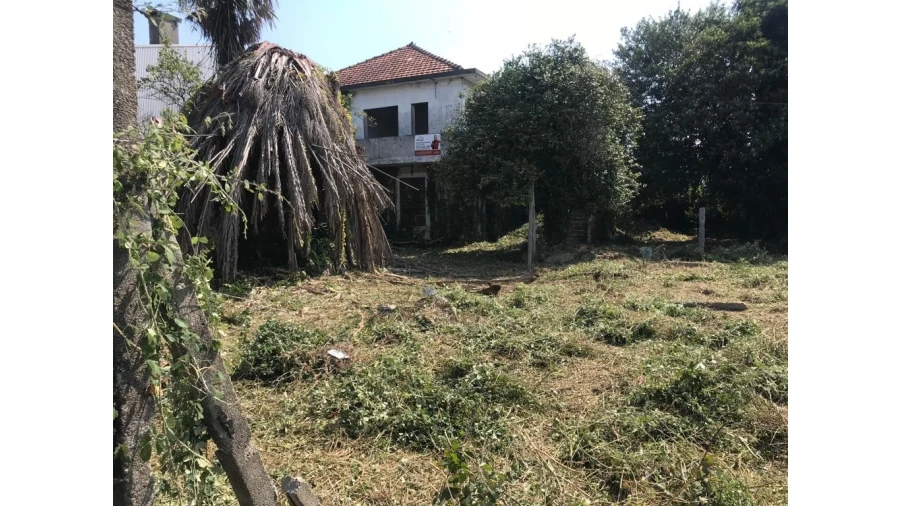 Moradia T3 para Venda em Areias, Sequeirô, Lama e Palmeira Foto 3