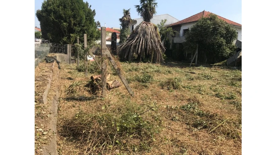 Moradia T3 para Venda em Areias, Sequeirô, Lama e Palmeira Foto 4