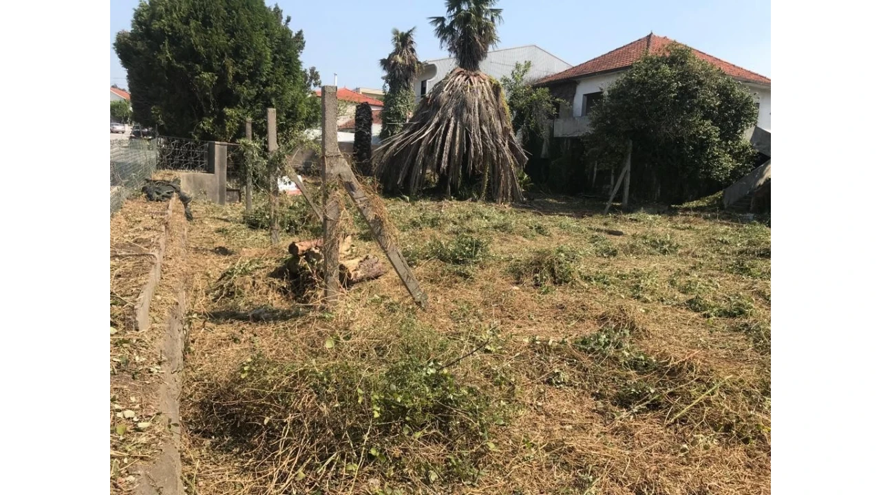 Moradia T3 para Venda em Areias, Sequeirô, Lama e Palmeira Foto 4