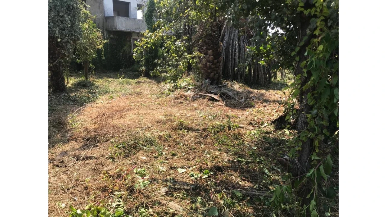 Moradia T3 para Venda em Areias, Sequeirô, Lama e Palmeira Foto 30