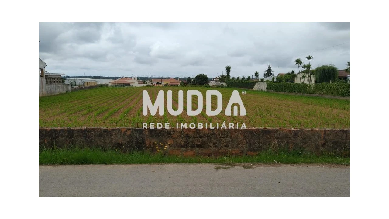 Terreno para Venda em Valega Foto 2