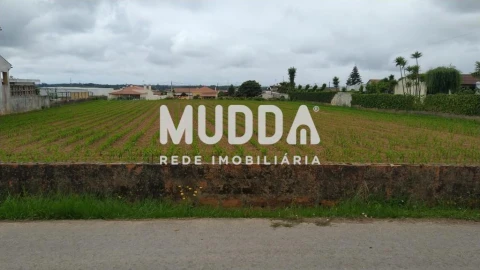 Terreno para Venda em Valega