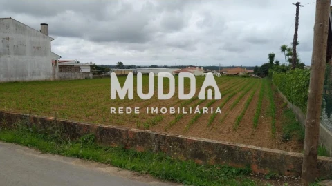 Terreno para Venda em Valega