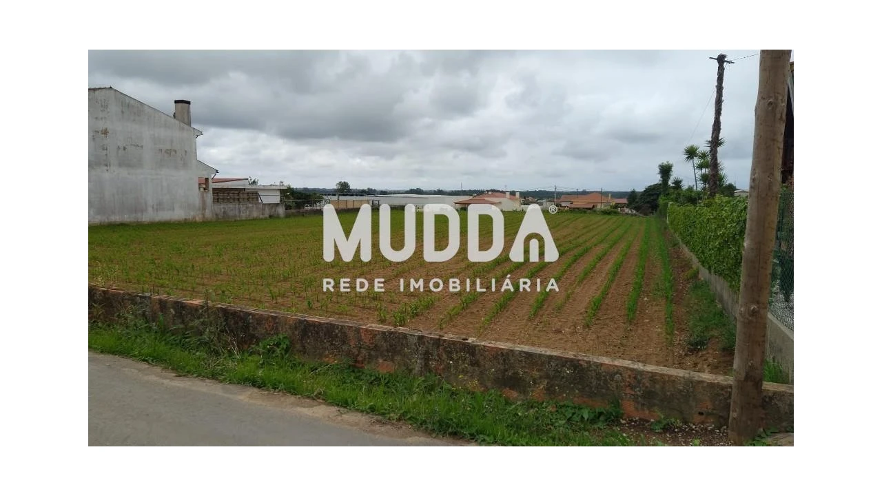 Terreno para Venda em Valega Foto 3