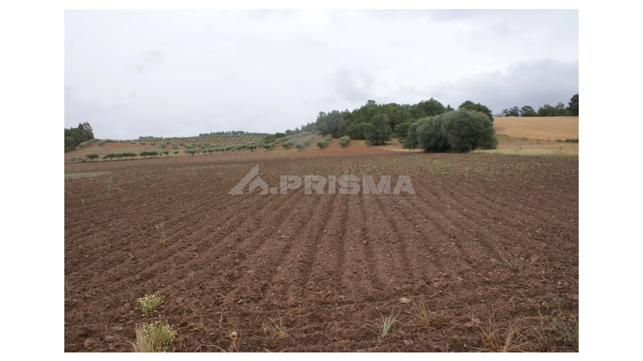 Terreno para Venda em Póvoa de Atalaia e Atalaia do Campo Foto 8