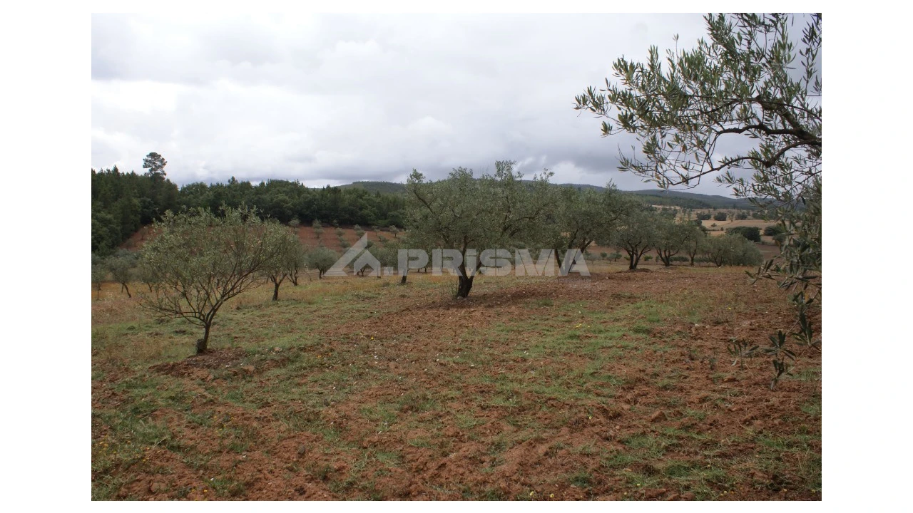 Terreno para Venda em Póvoa de Atalaia e Atalaia do Campo Foto 4