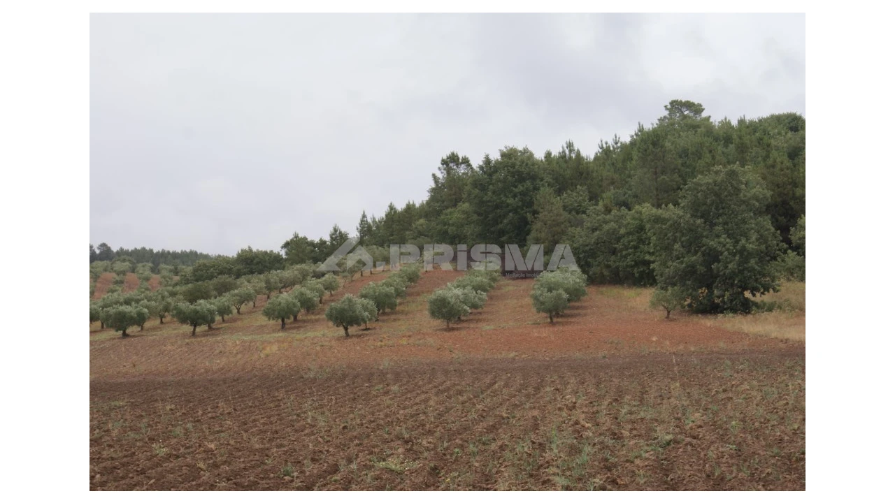 Terreno para Venda em Póvoa de Atalaia e Atalaia do Campo Foto 7
