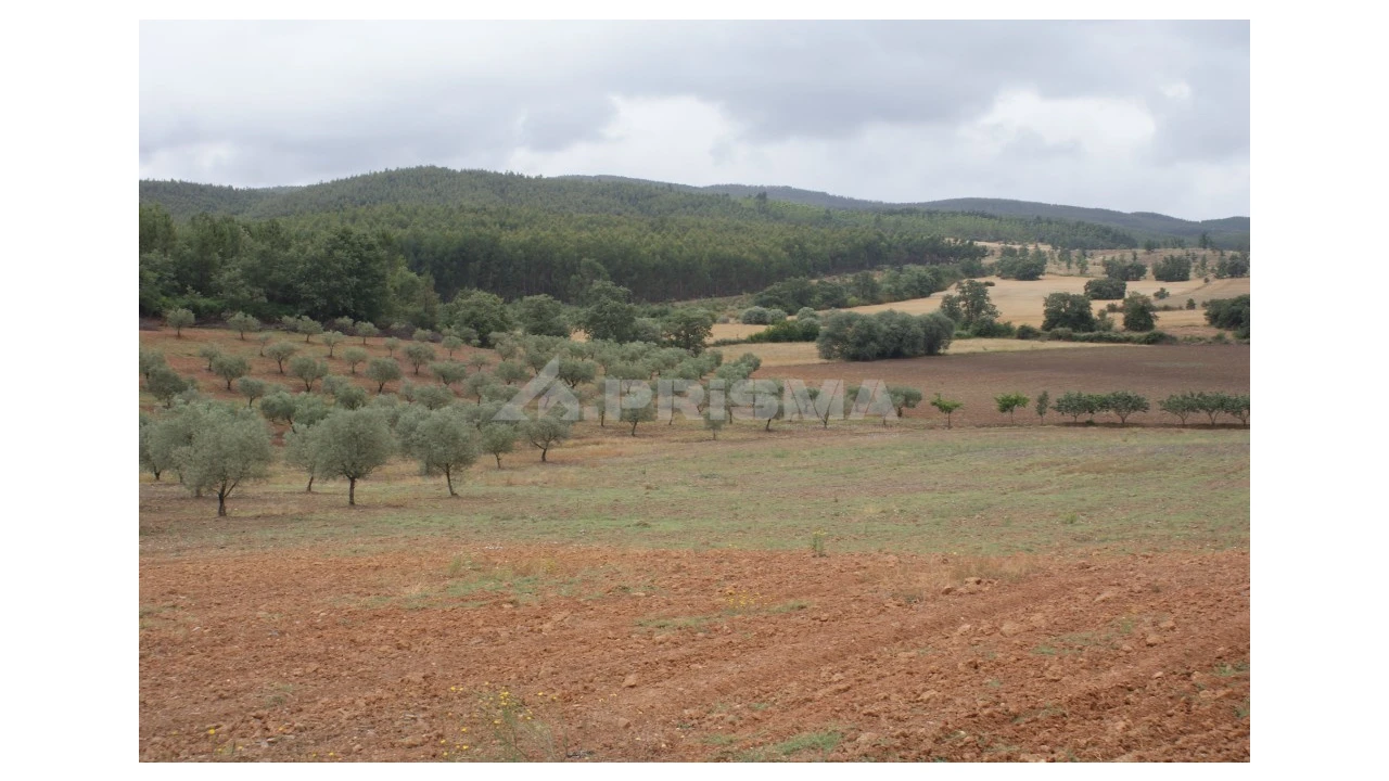 Terreno para Venda em Póvoa de Atalaia e Atalaia do Campo Foto 6