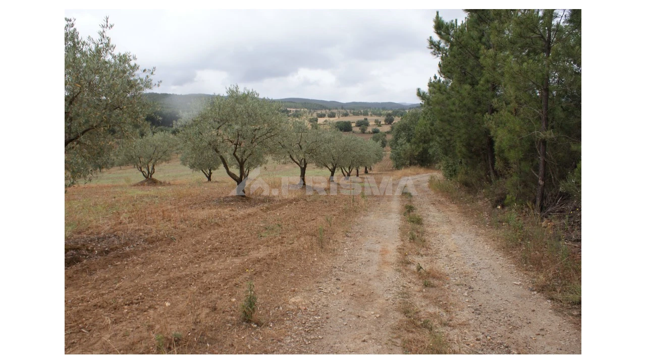 Terreno para Venda em Póvoa de Atalaia e Atalaia do Campo Foto 1