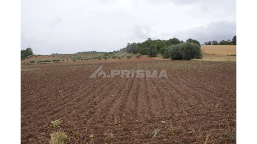 Terreno para Venda em Póvoa de Atalaia e Atalaia do Campo Foto 8