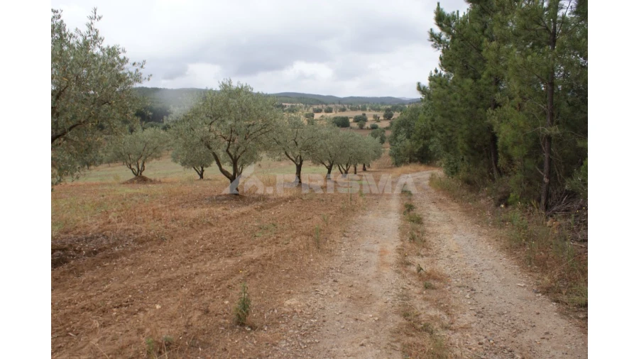 Terreno para Venda em Póvoa de Atalaia e Atalaia do Campo Foto 1