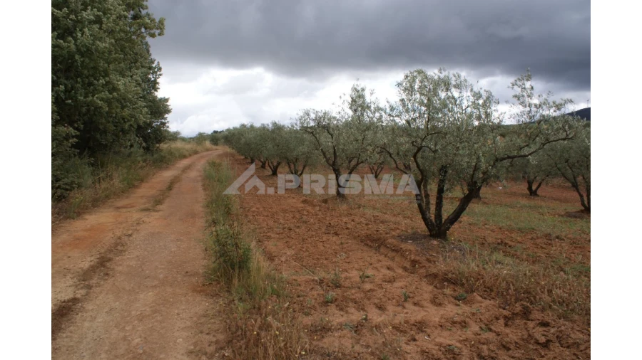 Terreno para Venda em Póvoa de Atalaia e Atalaia do Campo Foto 2