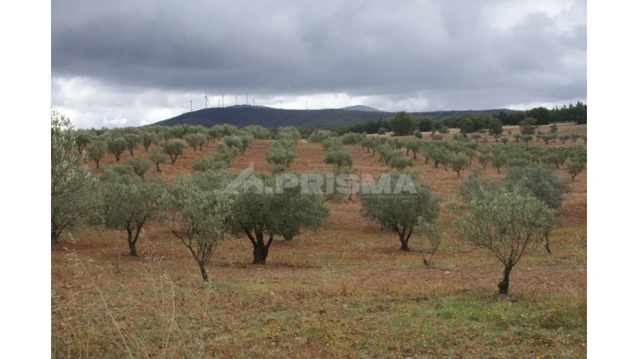 Terreno para Venda em Póvoa de Atalaia e Atalaia do Campo Foto 3