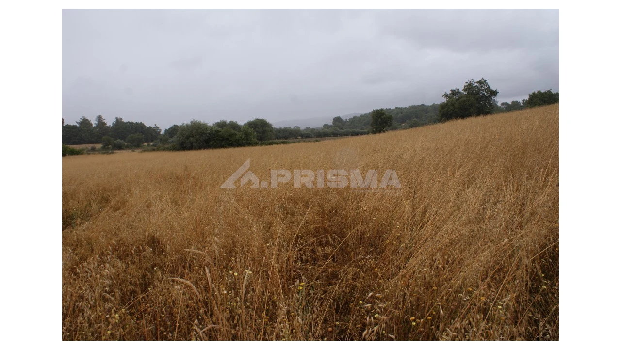 Terreno para Venda em Póvoa de Atalaia e Atalaia do Campo Foto 6