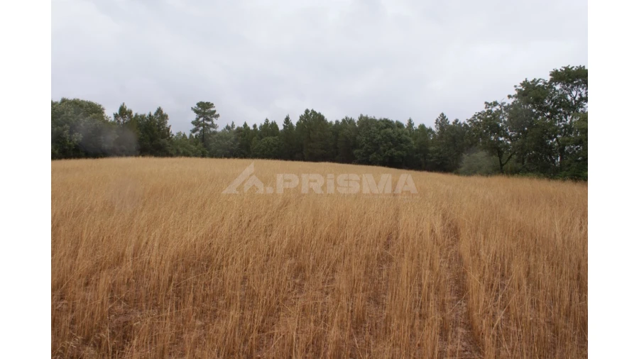 Terreno para Venda em Póvoa de Atalaia e Atalaia do Campo Foto 4