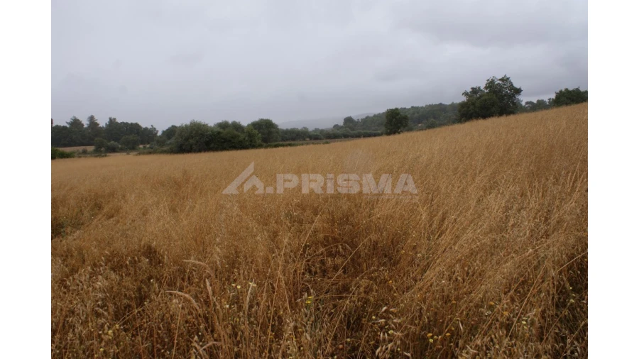 Terreno para Venda em Póvoa de Atalaia e Atalaia do Campo Foto 6