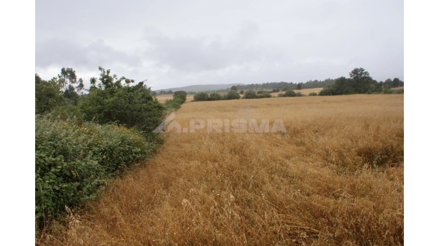 Terreno para Venda em Póvoa de Atalaia e Atalaia do Campo Foto 2